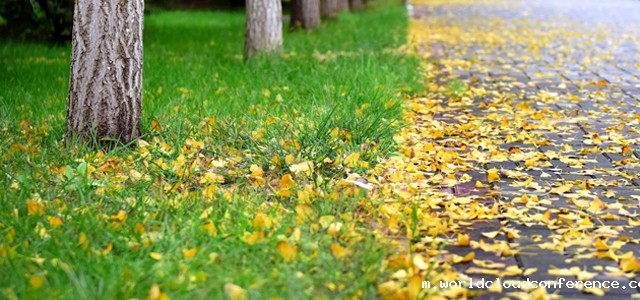 taptap独赢港澳台事务办公室